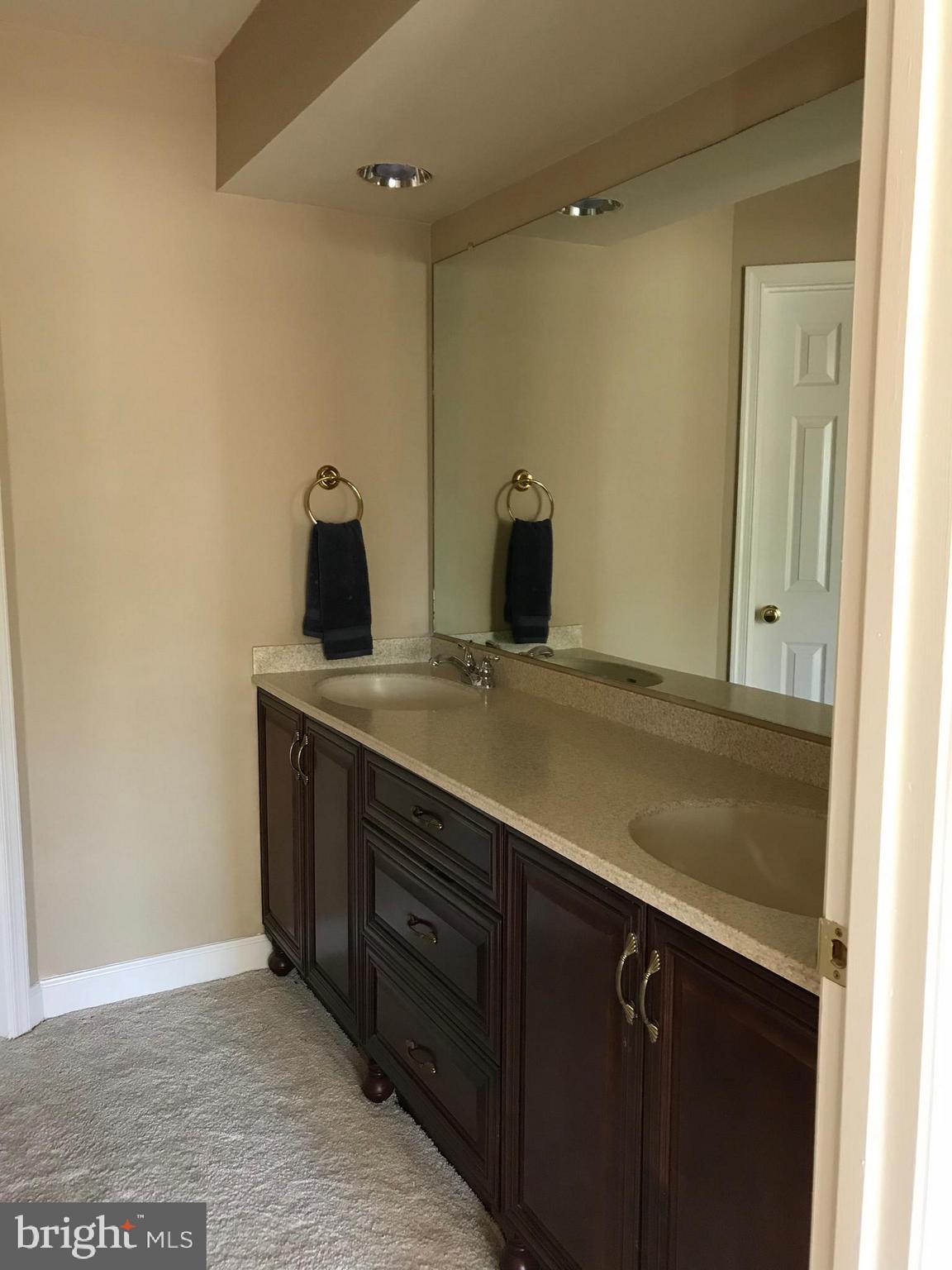 17000 Spates Hill Road Poolesville, MD 20837 - Photo 20 of 45 Master Bathroom View 2