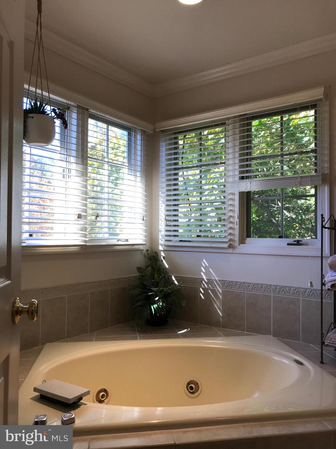 17000 Spates Hill Road Poolesville, MD 20837 - Photo 21 of 45 Master Bathroom View 4