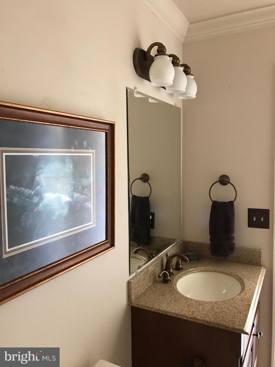 17000 Spates Hill Road Poolesville, MD 20837 - Photo 27 of 45 Full Bath 2 View 2