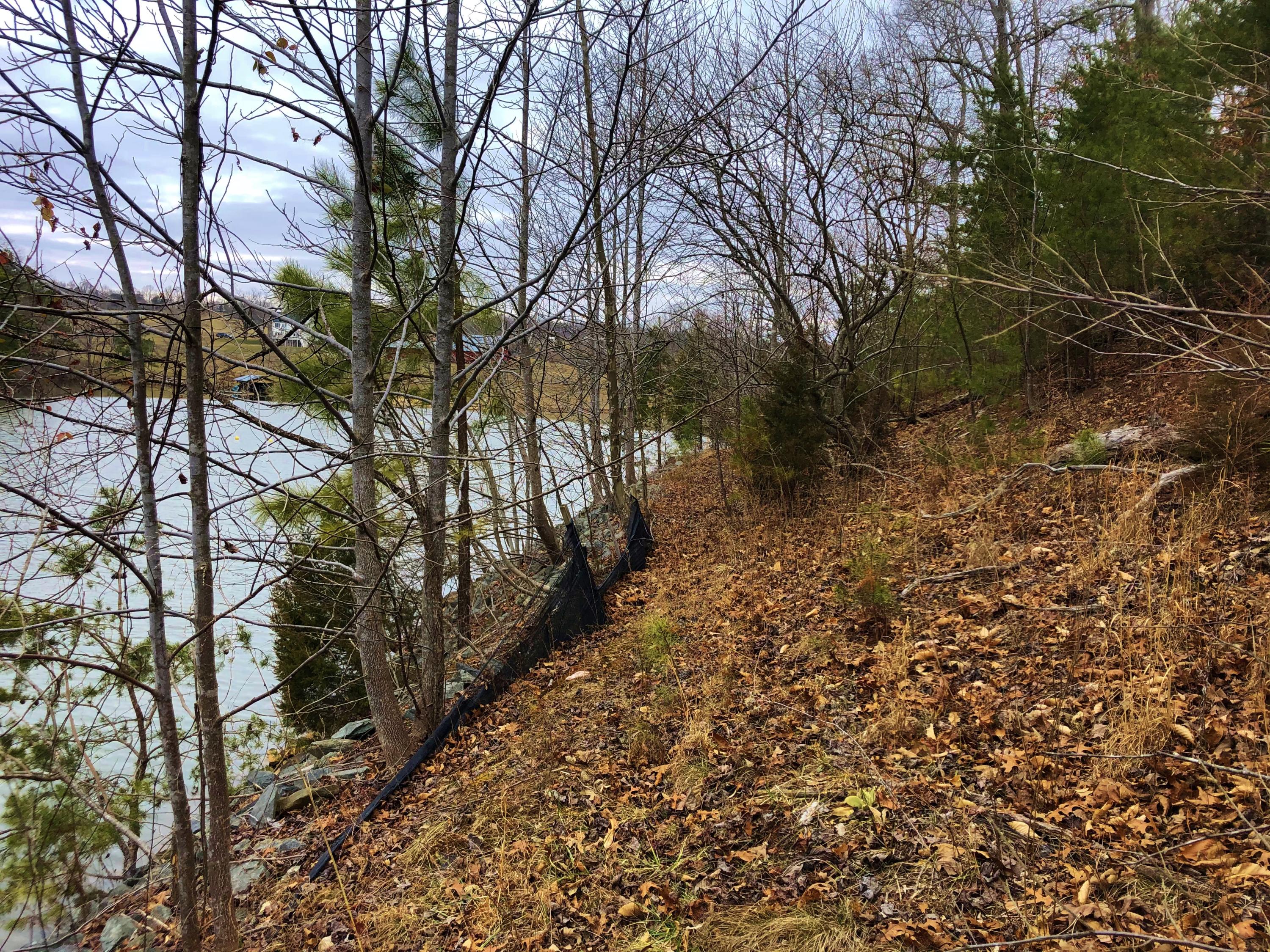 Lot 8 Old Point Road Moneta, VA 24121 - Photo 3 of 19 a view of a yard with trees
