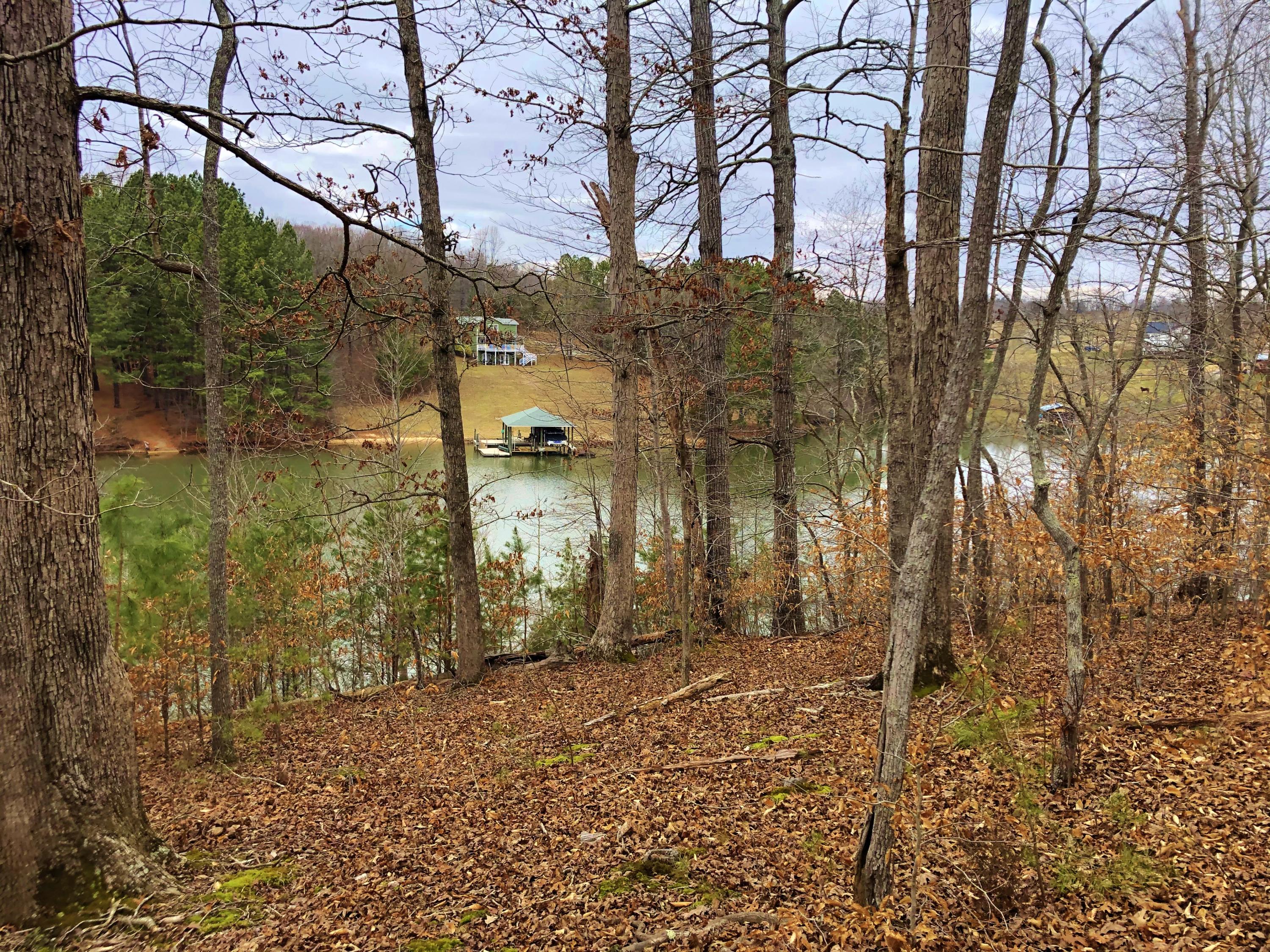 Lot 8 Old Point Road Moneta, VA 24121 - Photo 6 of 19