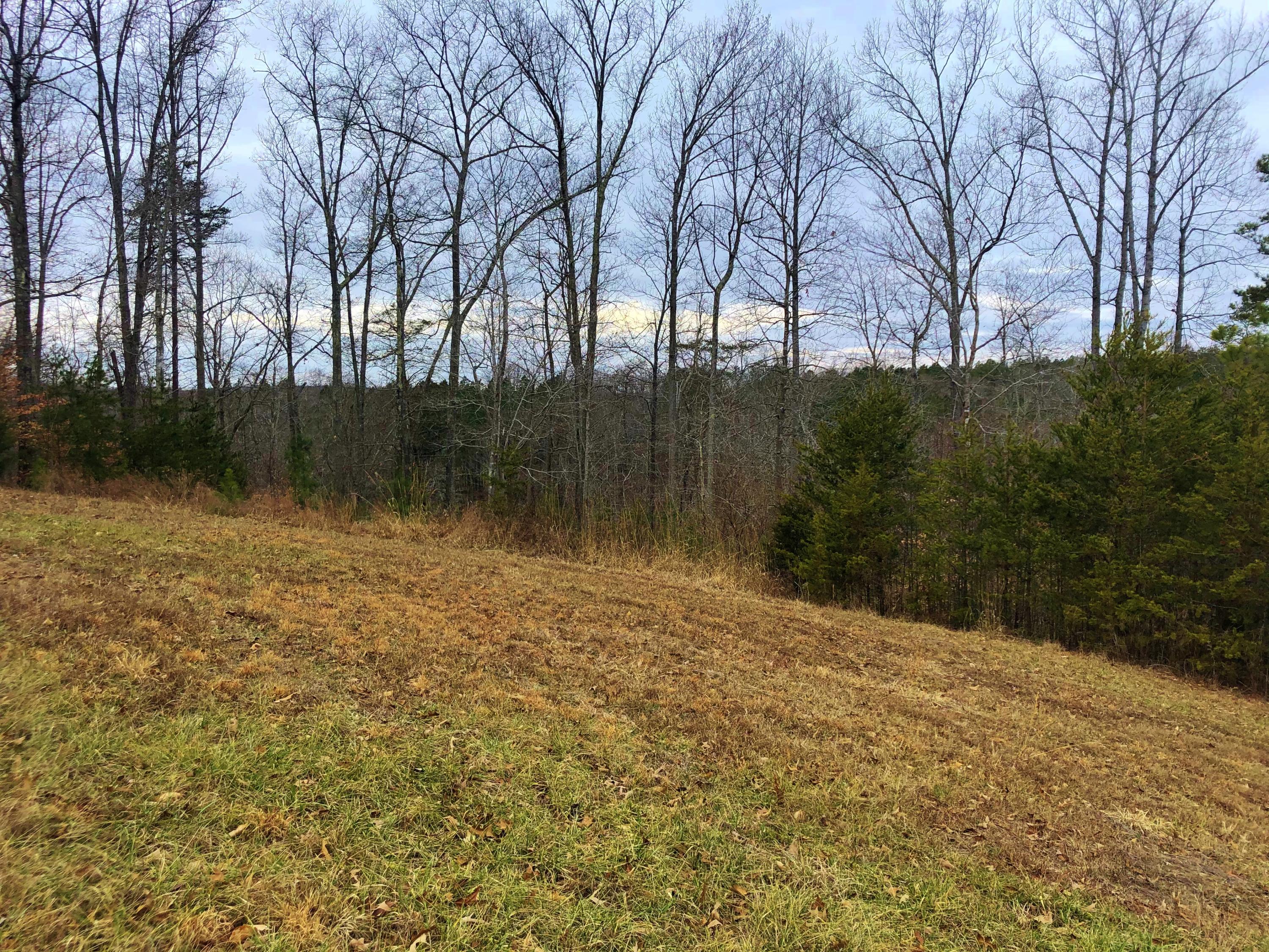 Lot 8 Old Point Road Moneta, VA 24121 - Photo 8 of 19 a view of lake with outdoor space