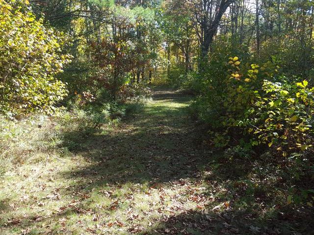 On Wilsch Road, Unit LOT 2 Conover, WI 54519 - Photo 3 of 15 Gallery Image 3