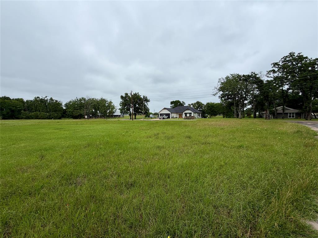 0 Water Oak Road Trinidad, TX 75163 - Photo 1 of 7 a view of a grassy field with trees in the background