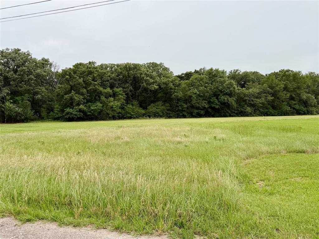 0 Water Oak Road Trinidad, TX 75163 - Photo 2 of 7 a view of lawn with a yard