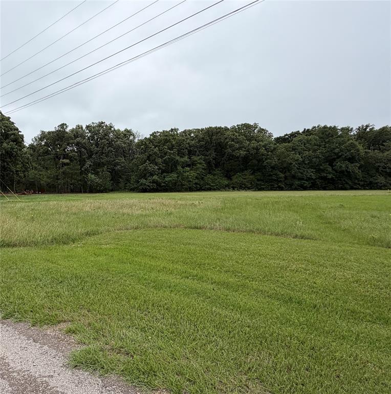 0 Water Oak Road Trinidad, TX 75163 - Photo 3 of 7 a view of a field with an ocean