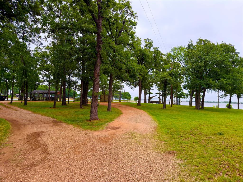 0 Water Oak Road Trinidad, TX 75163 - Photo 4 of 7 a garden with trees