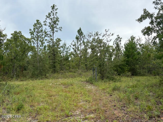 4539 Northwest White Road Altha, FL 32421 - Photo 41 of 82