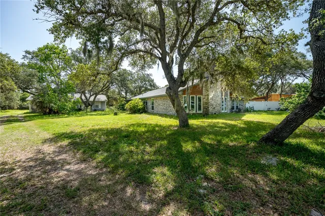 a view of swimming pool with a tree
