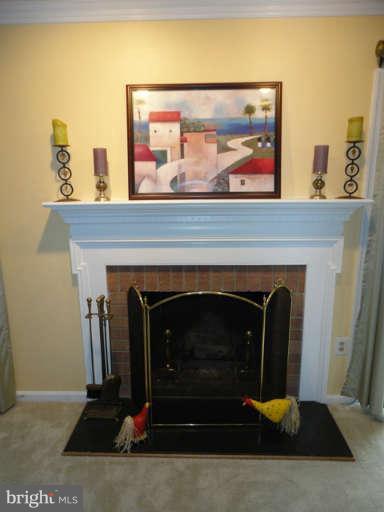6822 Earthstar Court Springfield, VA 22152 - Photo 11 of 22 Charming Wood Burning Fireplace