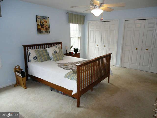 6822 Earthstar Court Springfield, VA 22152 - Photo 18 of 22 Second Master Bedroom