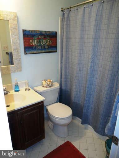 6822 Earthstar Court Springfield, VA 22152 - Photo 19 of 22 Bath