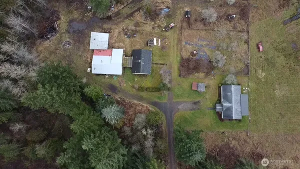 a yard with trees in the background