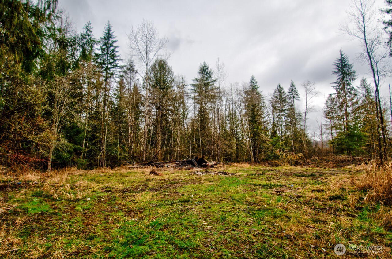 236 Tryon Road Onalaska, WA 98570 - Photo 37 of 40 a yard with trees in the background