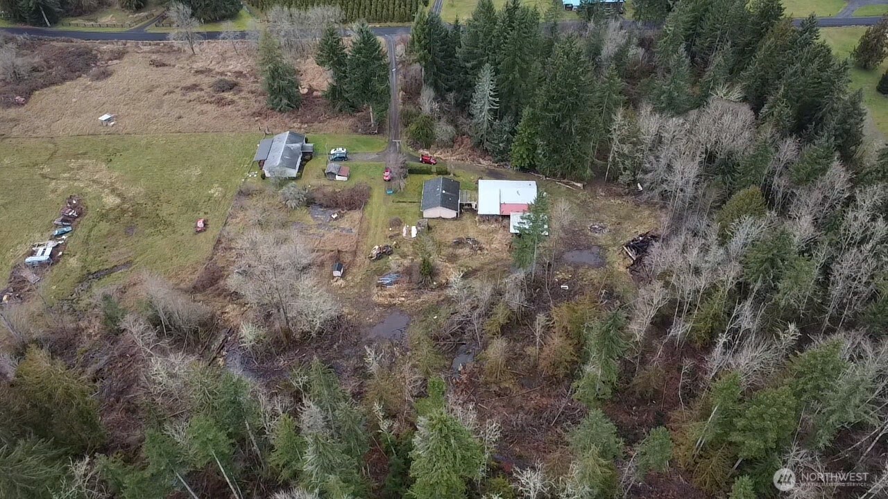 236 Tryon Road Onalaska, WA 98570 - Photo 39 of 40 a view of a forest with a sink