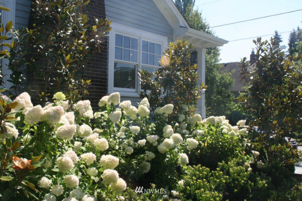 4102 Midvale Avenue North Seattle, WA 98103 - Photo 13 of 14 Gallery Image 13