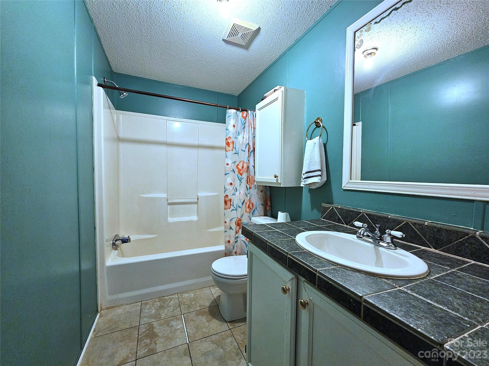 290 Long Street Rutherfordton, NC 28139 - Photo 19 of 23 a bathroom with a granite countertop sink toilet and shower