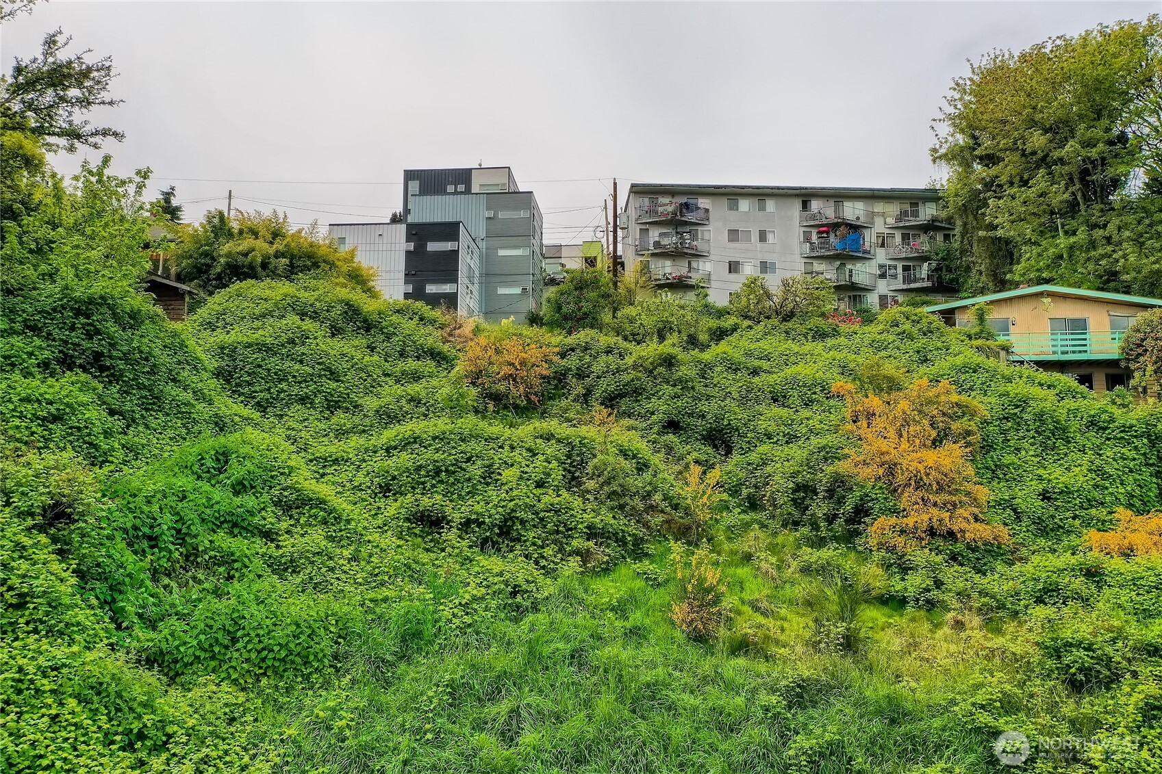 132 X 16th Avenue South Seattle, WA 98122 - Photo 4 of 8