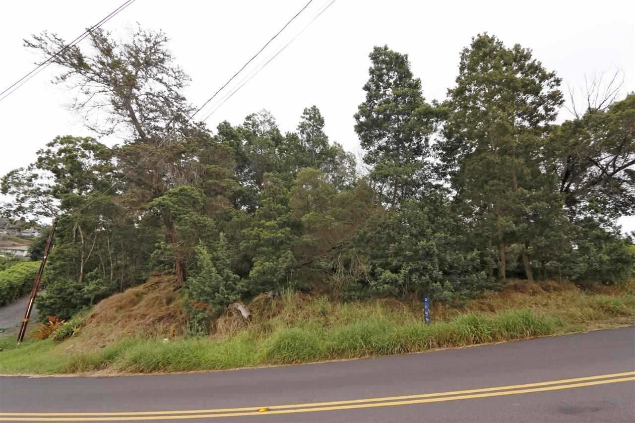 Lot 127 Ainakula Road Kula, HI 96790 - Photo 1 of 7 Gallery Image 1