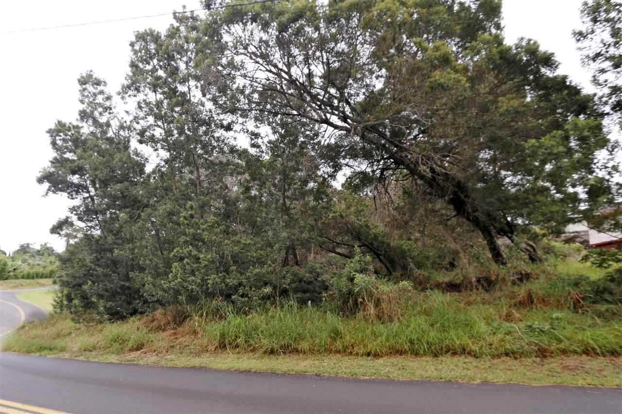 Lot 127 Ainakula Road Kula, HI 96790 - Photo 2 of 7 Gallery Image 2