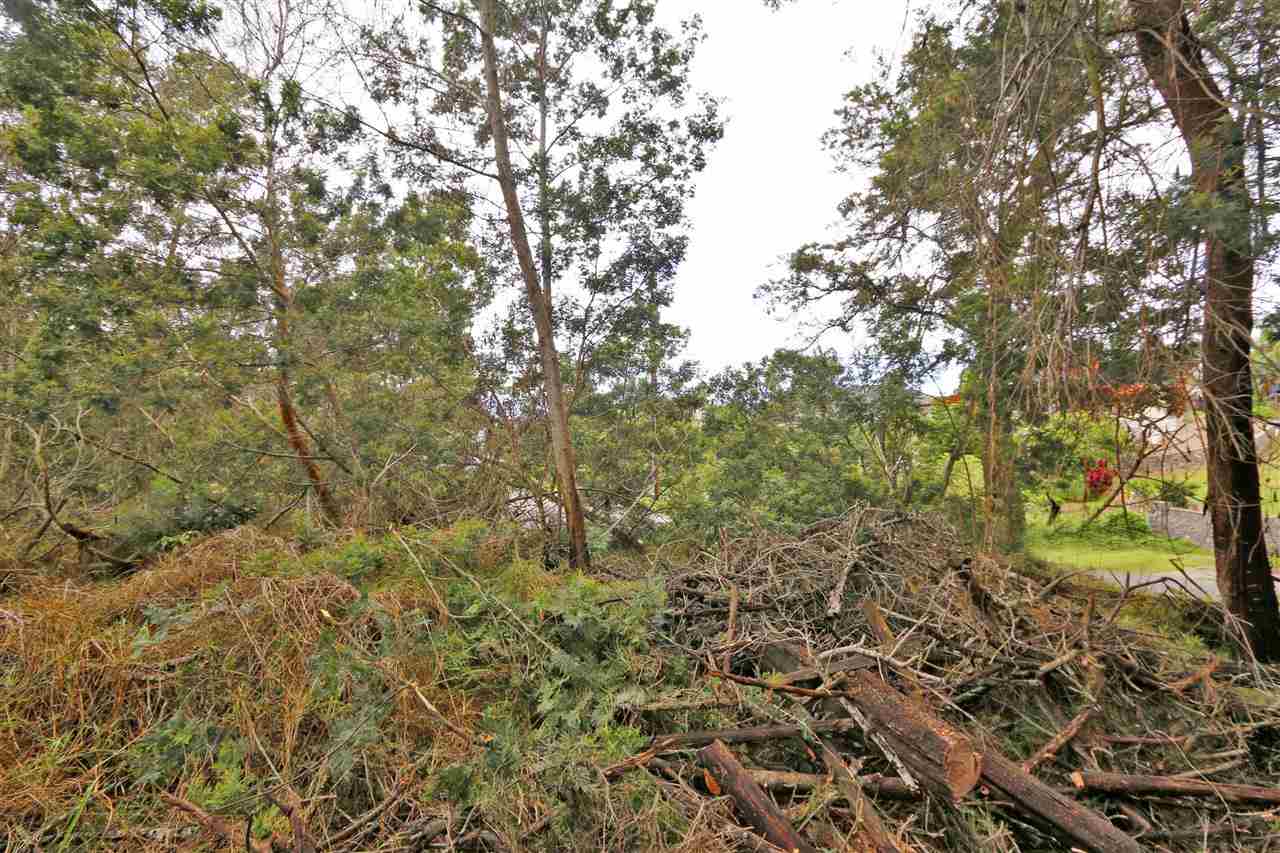 Lot 127 Ainakula Road Kula, HI 96790 - Photo 7 of 7 Gallery Image 7