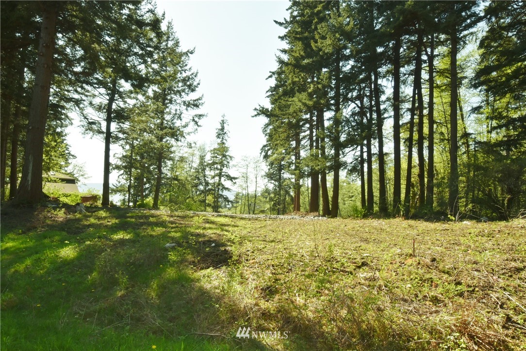 2093 Hilltop Road Lummi Island, WA 98262 - Photo 2 of 25