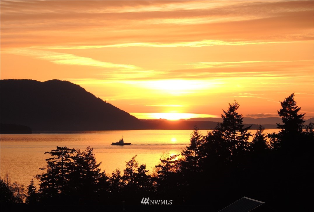 2093 Hilltop Road Lummi Island, WA 98262 - Photo 18 of 25