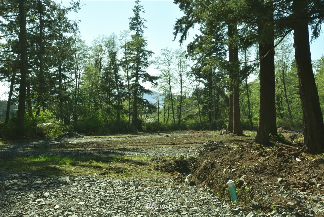 2093 Hilltop Road Lummi Island, WA 98262 - Photo 4 of 25