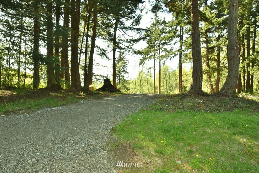 2093 Hilltop Road Lummi Island, WA 98262 - Photo 5 of 25