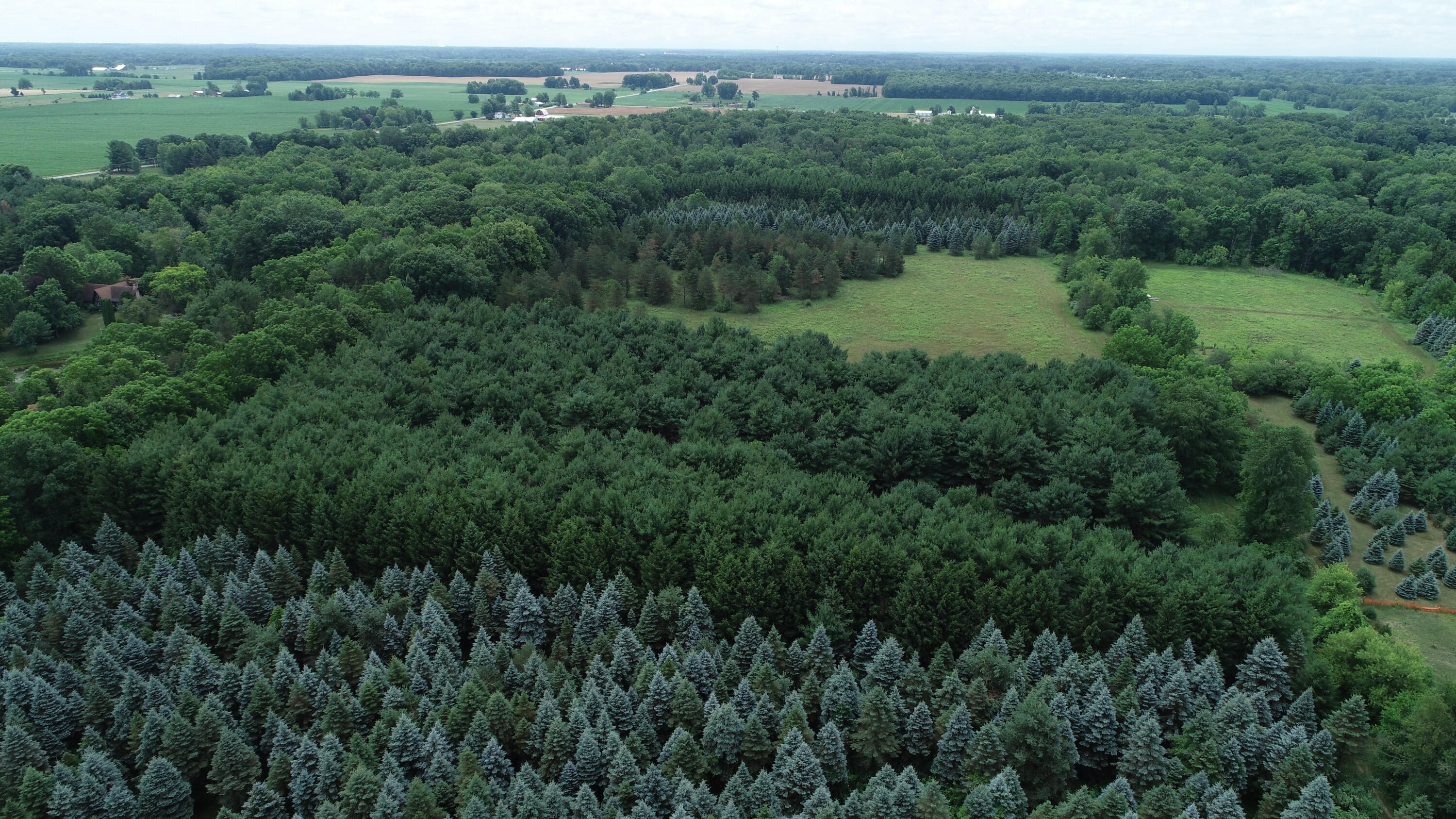 5681 Harper Road Holt, MI 48842 - Photo 14 of 25 DJI_0013