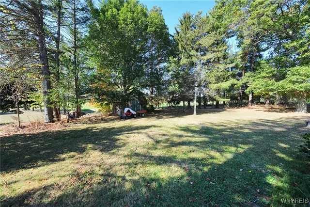 $305,000 | 218 Vaughn Street, Springville, NY 14141