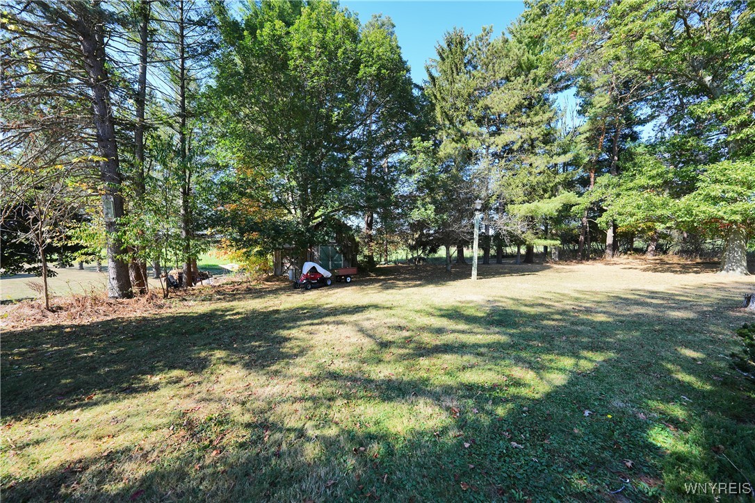 218 Vaughn Street Springville, NY 14141 - Photo 35 of 45