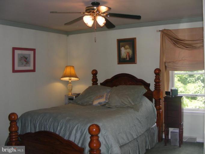 615 West Pearl Street Rising Sun, MD 21911 - Photo 20 of 27 Master Bedroom