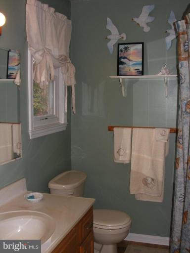 615 West Pearl Street Rising Sun, MD 21911 - Photo 22 of 27 Master Bath