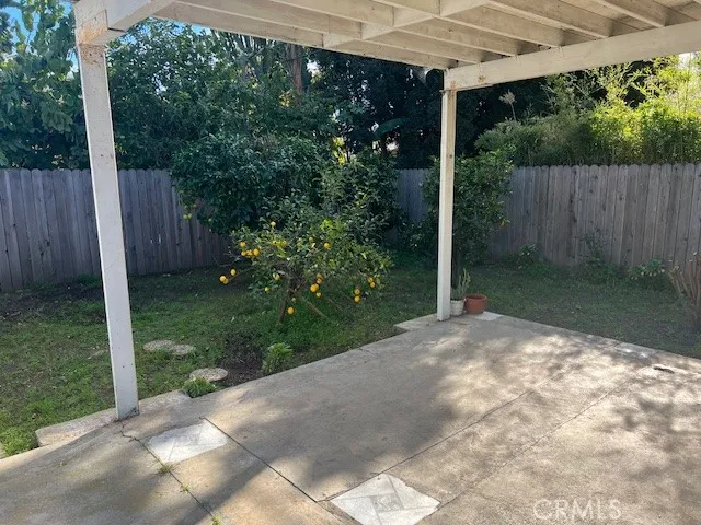 a view of a backyard with plants and a garden