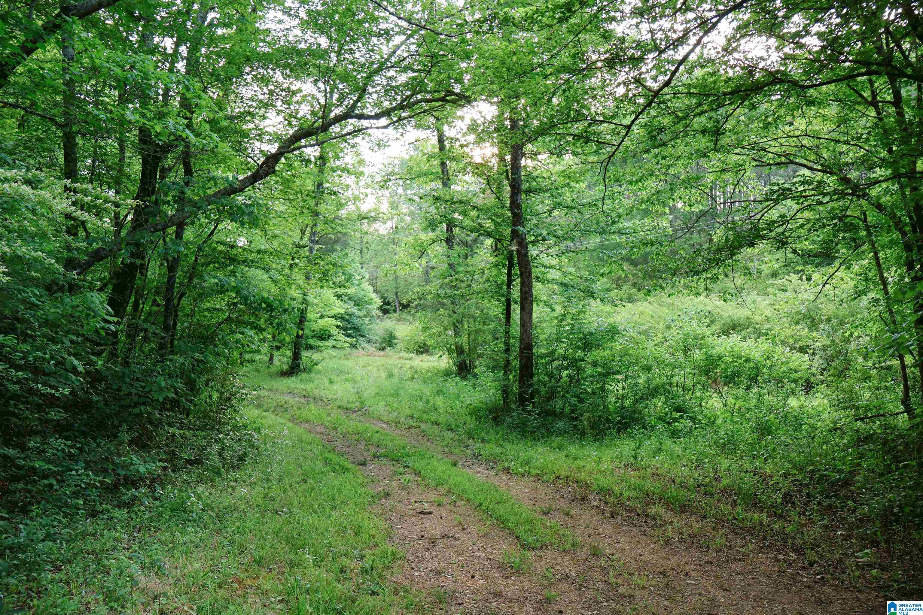 1678 Hays Cemetery Road Hayden, AL 35079 - Photo 68 of 87