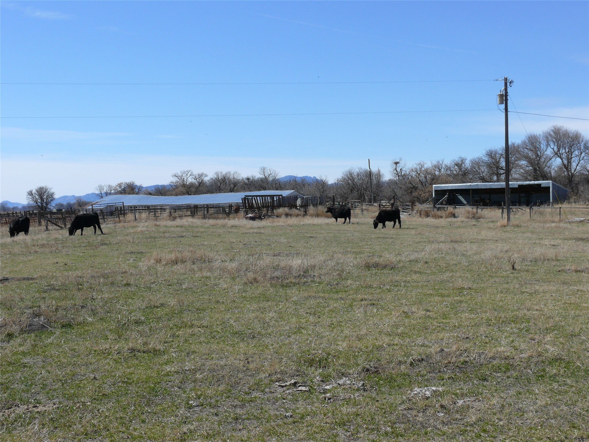 Tbd Tbd Tbd Cascade, MT 59421 - Photo 11 of 71 Gallery Image 11