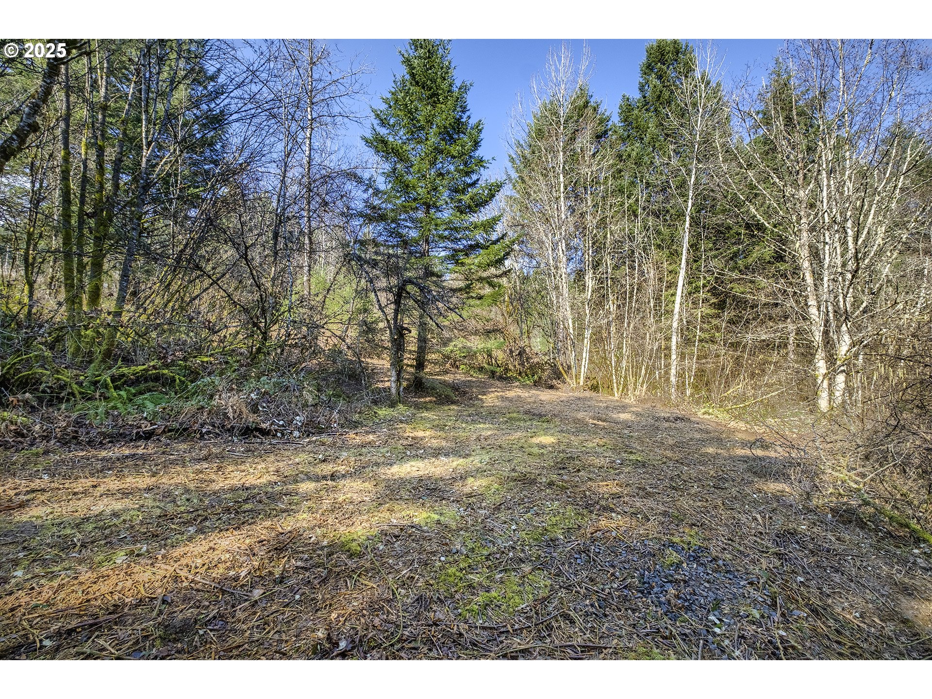 14380 Northwest Eberly Road Banks, OR 97106 - Photo 40 of 47 Gallery Image 40