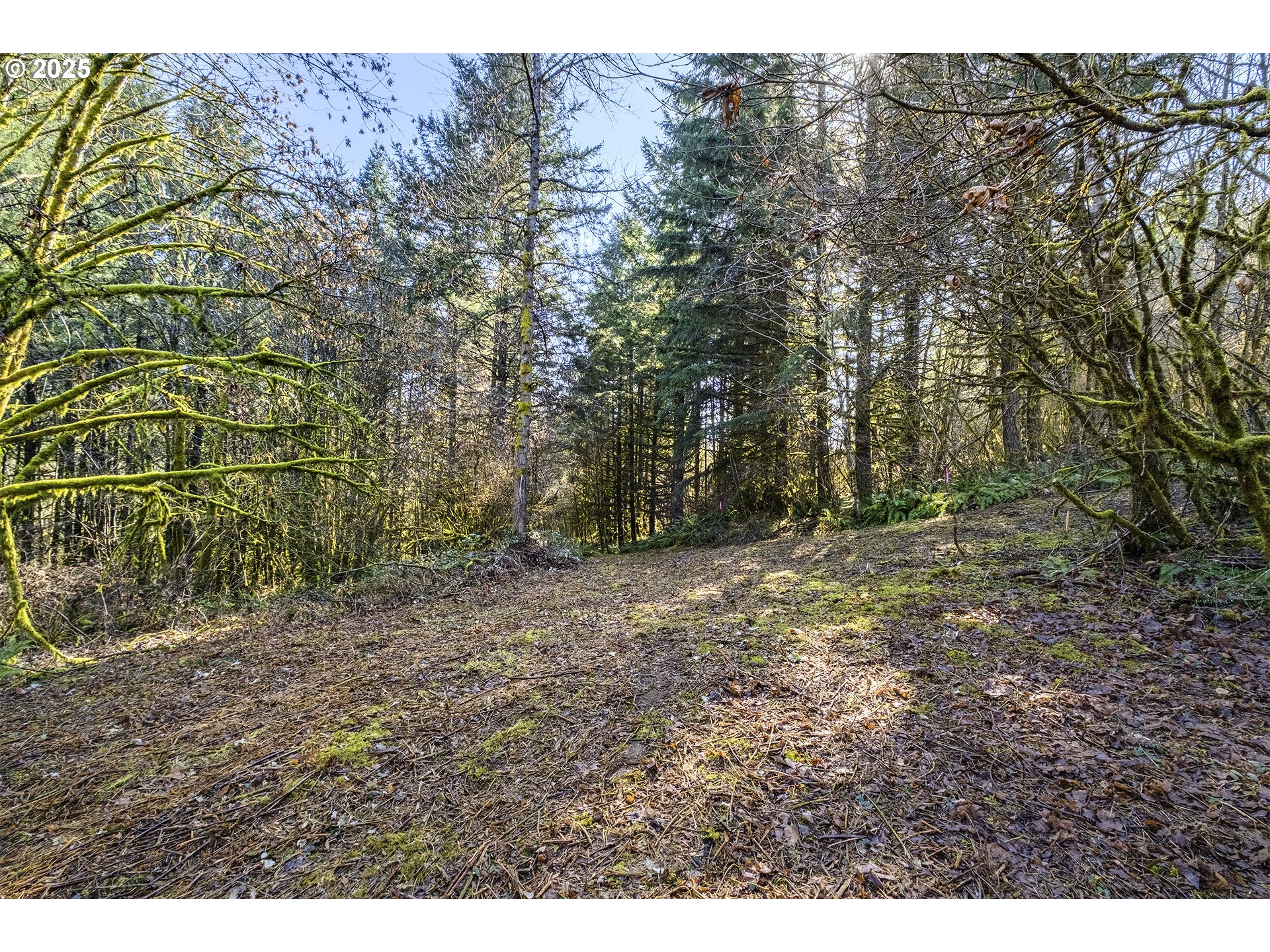 14380 Northwest Eberly Road Banks, OR 97106 - Photo 41 of 47 Gallery Image 41