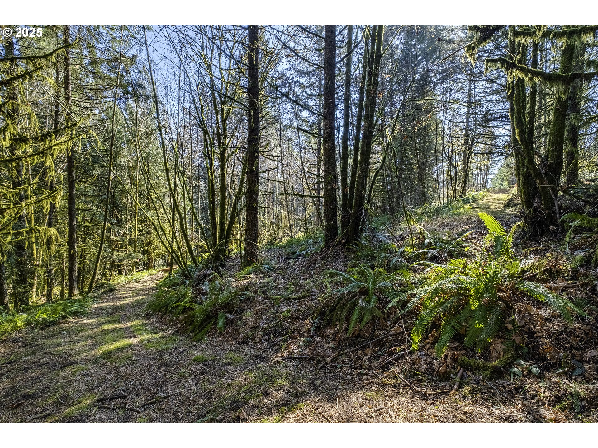 14380 Northwest Eberly Road Banks, OR 97106 - Photo 42 of 47 Gallery Image 42