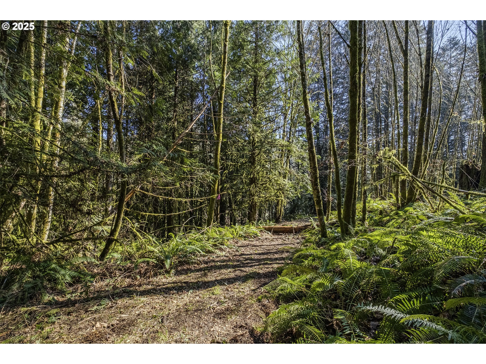 14380 Northwest Eberly Road Banks, OR 97106 - Photo 43 of 47 Gallery Image 43