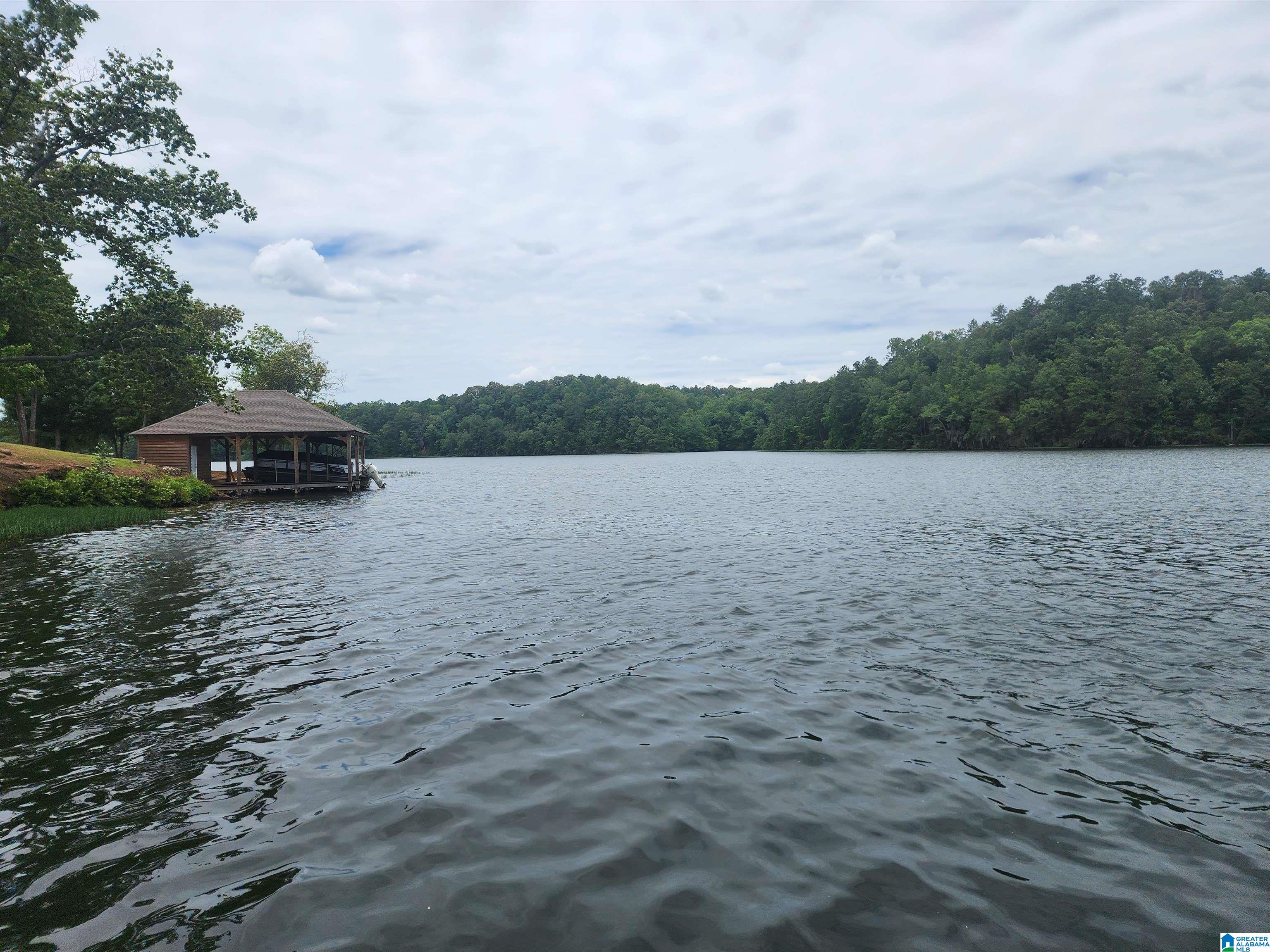 Lot 8 Eagle Mountain Road, Unit 8 Alexander City, AL 35010 - Photo 24 of 27