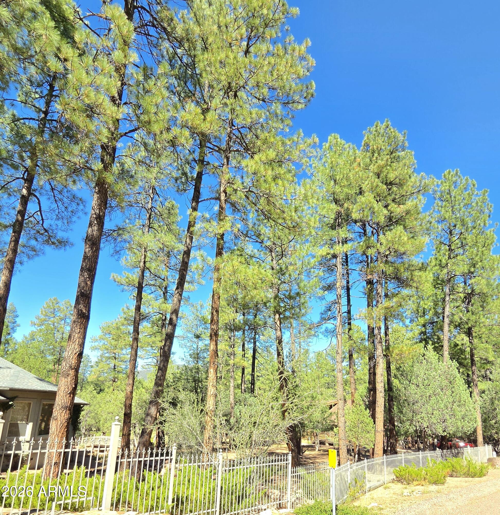 3638 North Whispering Pine Road Pine, AZ 85544 - Photo 28 of 32 Tall Pines on Lot