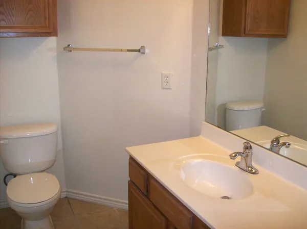 a bathroom with a sink and a toilet
