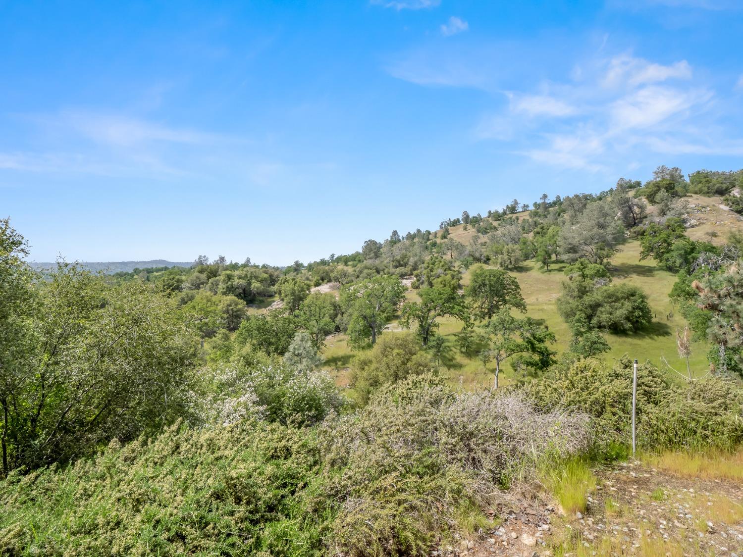 31173 Moccassin Way Coarsegold, CA 93614 - Photo 33 of 48 a view of a forest with a houses