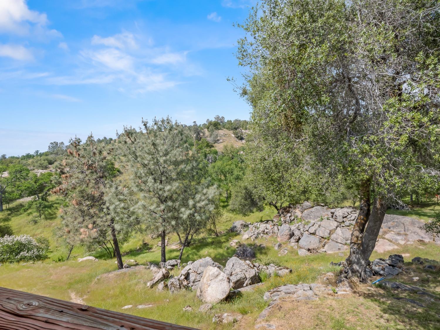 31173 Moccassin Way Coarsegold, CA 93614 - Photo 47 of 48 a view of a wooden floor with a tree