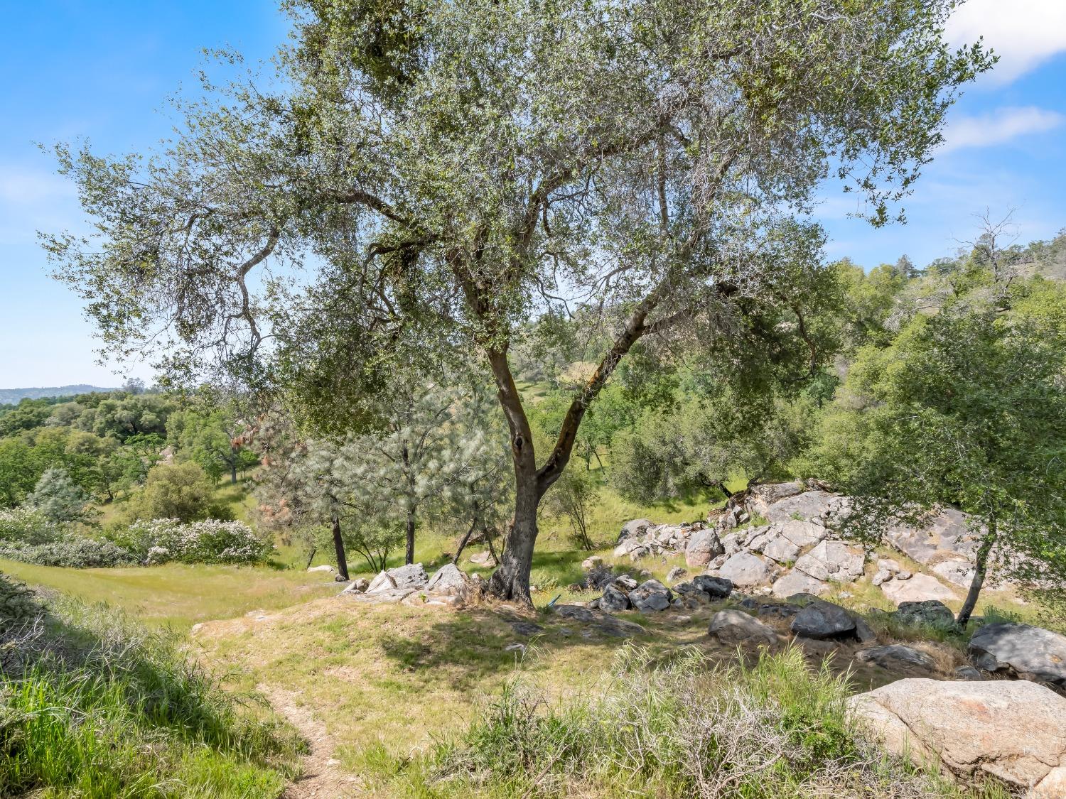 31173 Moccassin Way Coarsegold, CA 93614 - Photo 48 of 48
