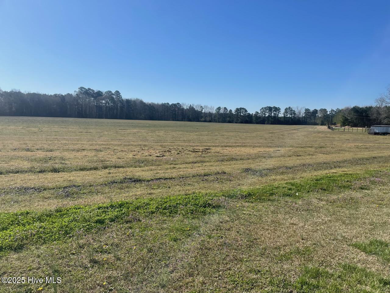 5635 McKendree Church Road Tarboro, NC 27886 - Photo 11 of 80 IMG954122