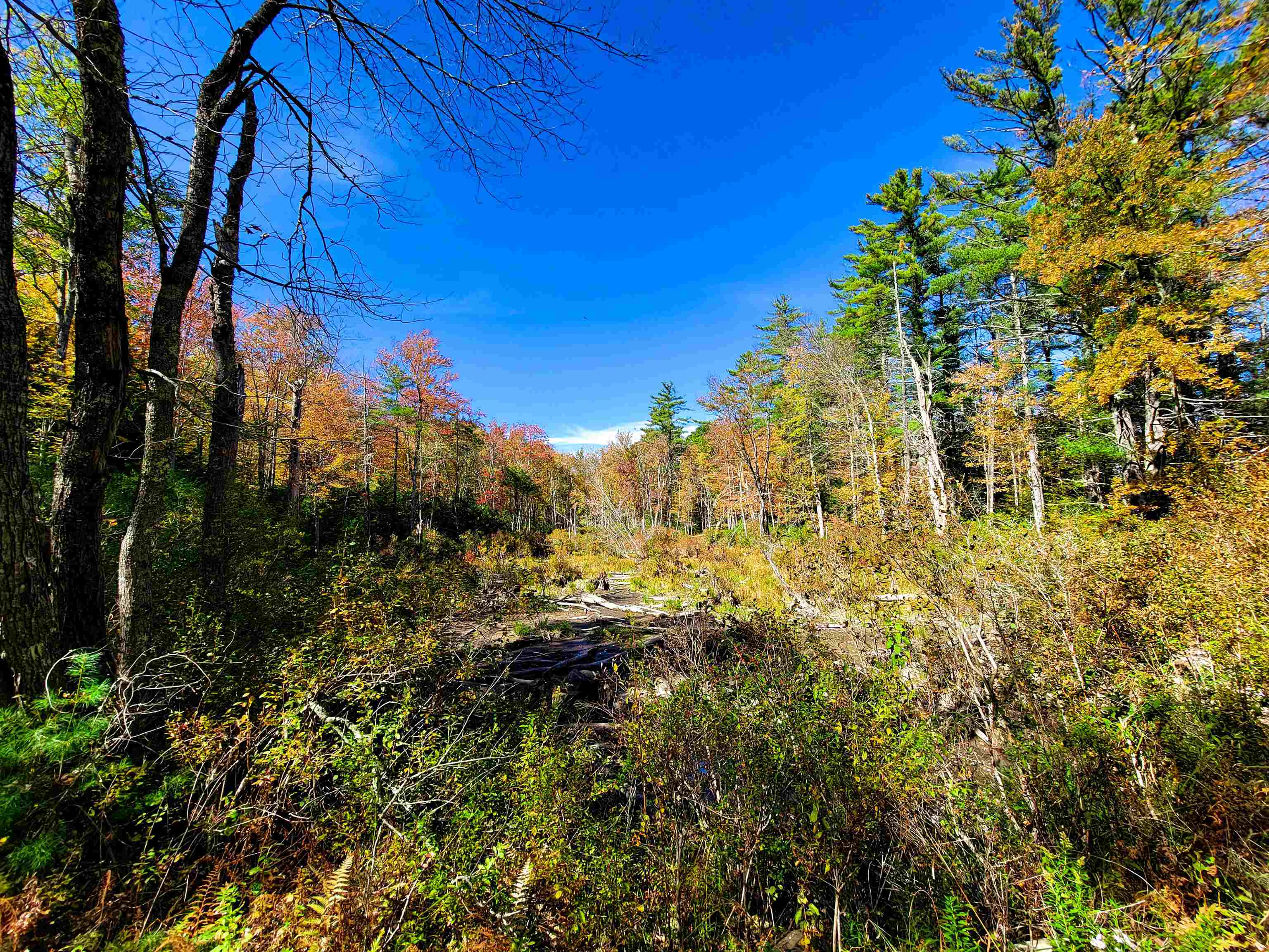 190 Gale Road Gilmanton, NH 03237 - Photo 21 of 46