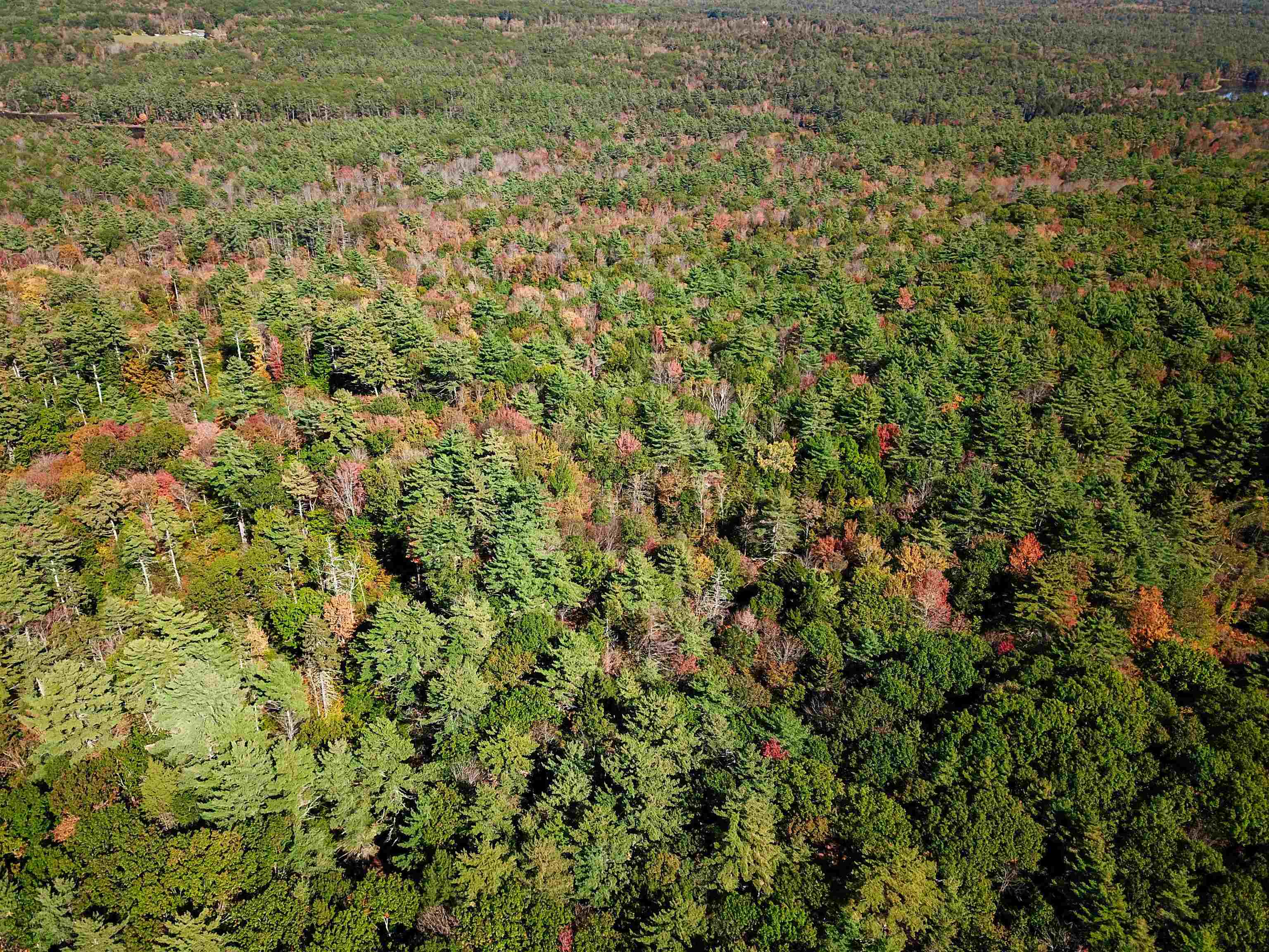 190 Gale Road Gilmanton, NH 03237 - Photo 45 of 46